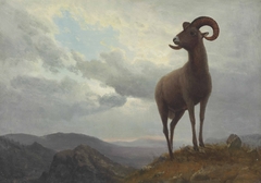 Long Horned Sheep by Albert Bierstadt