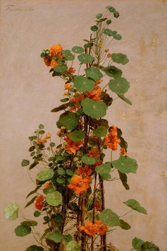 Nasturtiums by Henri Fantin-Latour