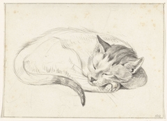 Opgerold liggende, slapende kat by Jean Bernard