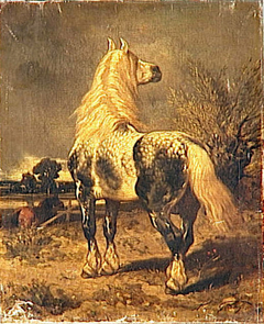 Percheron in a pasture by Achille Giroux