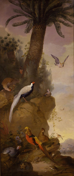 Pheasants and Other Birds in an Exotic Landscape by Aert Schouman