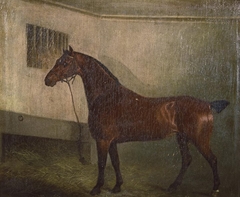 Portrait of a hunter in stable