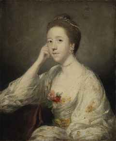 Portrait of a Lady in White by Joshua Reynolds