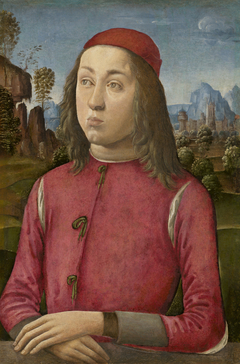 Portrait of a Youth by Agnolo di Domenico del Mazziere