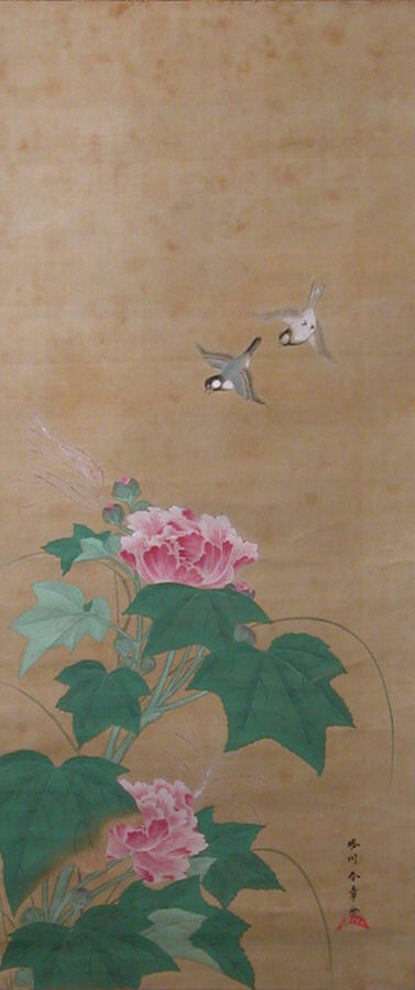 Rose Mallow (Fuyō)