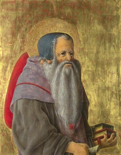 Saint Jerome by Giorgio Schiavone