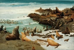 Seal Rocks, Farallons