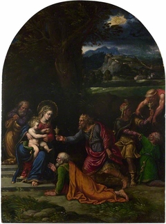 The Adoration of the Kings by Girolamo da Carpi