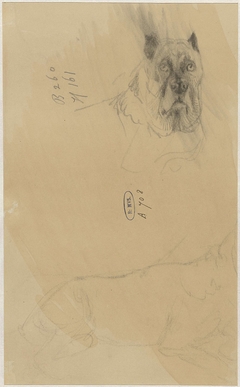 Twee schetsen van een hond by Guillaume Anne van der Brugghen
