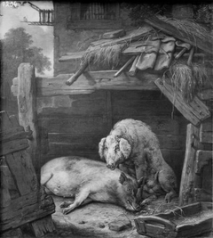 Two Pigs in a Sty by Paulus Potter