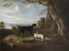 Two Retrievers and a Dead Pheasant by William Webb