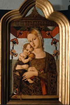 Virgin and Child by Bernardino di Mariotto