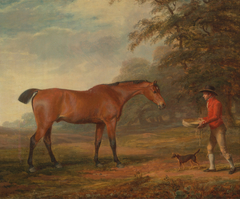 A Bay Horse Approached by a Stable-Lad with Food and a Halter by George Garrard