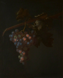 A Bunch of Grapes by Tobias Stranover