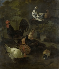 A Cock, Hens, Doves, and a Marmot