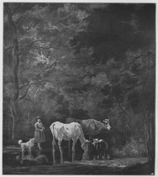 A shepherdess with her cows and a goat in a crossing in a brook