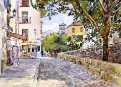 Acer del Darro, Granada by Margaret Merry