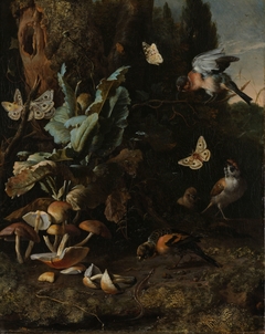 Animals and plants by Melchior d'Hondecoeter