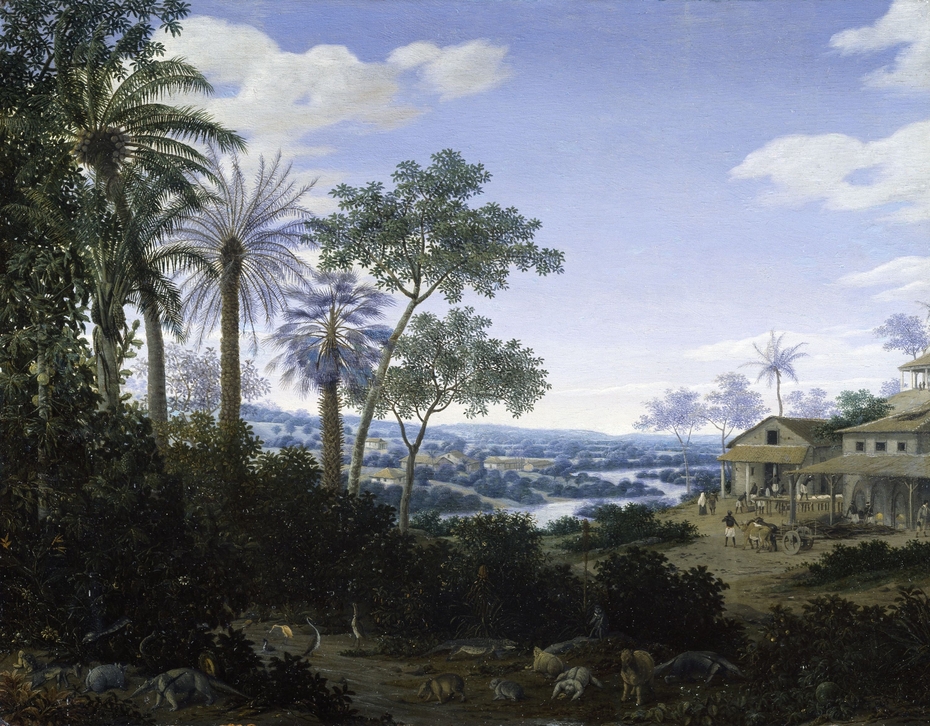 Brazilian Landscape