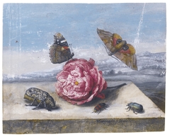 Butterflies and beetles around a rose on a stone ledge by Margareta de Heer