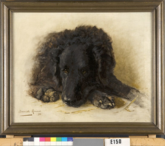 Een zwarte hond by Henriëtte Ronner-Knip