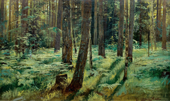 Ferns in the Forest. Siverskaya. Study