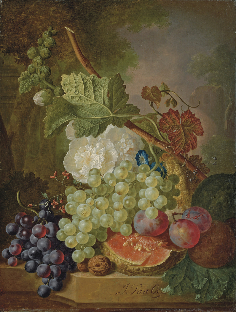Flowers, grapes, plums, walnuts and a melon on a stone ledge