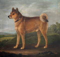'Fox', a Favourite Dog of Sir John William Pole, 6th Bt (1757 - 1799) by Francis Sartorius