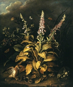 Foxgloves and Brambles, with a Hawk Confronting an Adder by Thomas Weaver