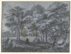 Gezicht in het Haagse bos by Simon de Vlieger