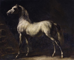 Gray Horse by Théodore Géricault