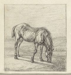 Grazend paard by Jan Dasveldt