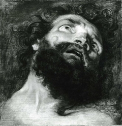 Head of a Man by Peter Paul Rubens