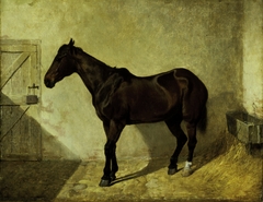 Horse by John Frederick Herring