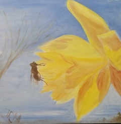 Insect on Daffodil by John Marsh 1