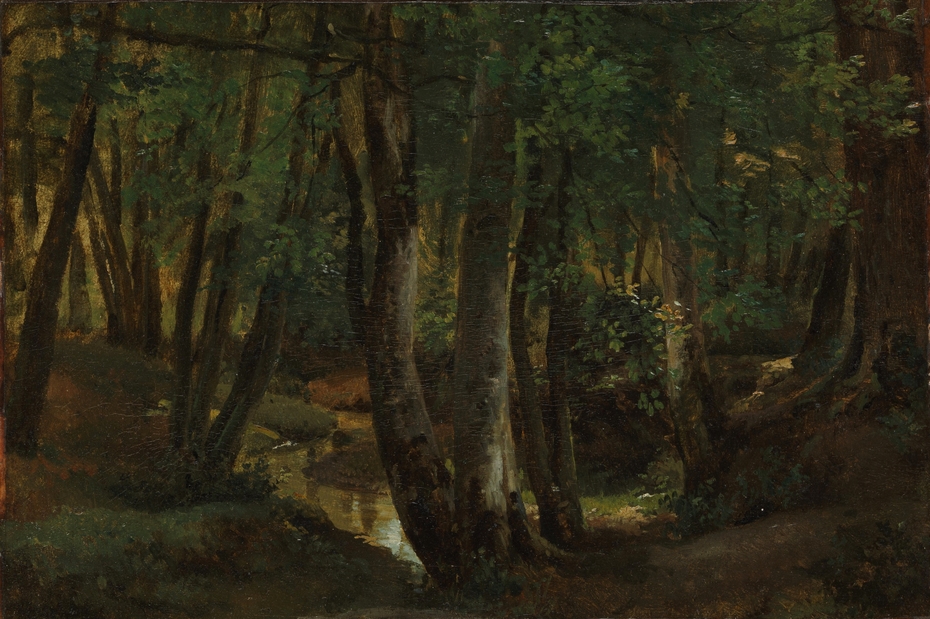 Interior of a Wood at Pierrefitte