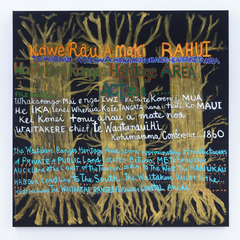Kawerau a Maki  Rahui WRHA Act of 2008 by Emily Karaka