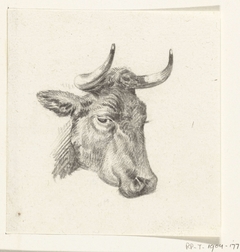 Kop van een koe by Jean Bernard