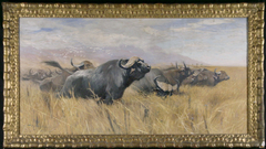Kudde opgejaagde Afrikaanse buffels en koereigers