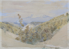 Mount Arthur from Pigeon Valley by John Gully