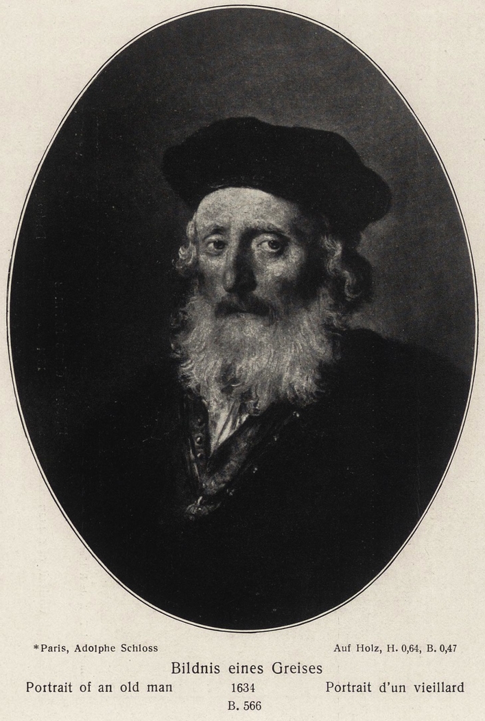 Oval Portrait of a Bearded Old Man