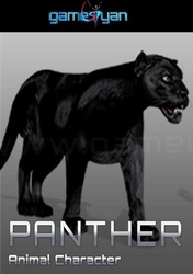 Panther Animal Character Animation