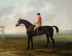 Pilot, a Grey Racehorse with a Jockey up in a Racecourse Setting by Sawrey Gilpin