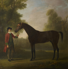 Portrait of a horse by Sawrey Gilpin