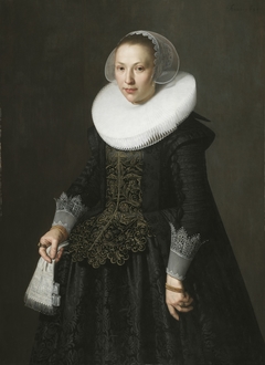 Portrait of a Lady by Nicolaes Eliaszoon Pickenoy
