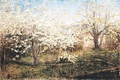 The Orchard (Spring at Mayfield)