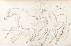 Two Horses - James Howe - ABDAG002783.16 by James Howe