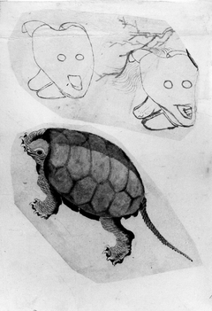 Two Sketches: One of a Turtle, the Other of Two Unidentified Objects