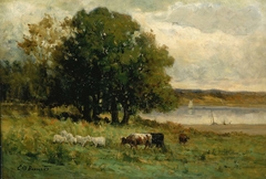 Untitled (cattle near river with sailboat in distance)