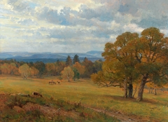 Waldwiese in Merkenstein by Hugo Darnaut